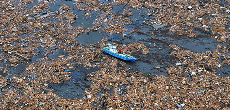 Japan’s Wildlife Is Still Reeling from the 2011 Earthquake and Tsunami | Hakai Magazine