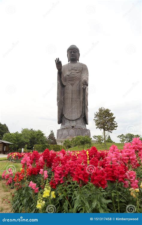 Ushiku Daibutsu editorial stock photo. Image of japanese - 151317458