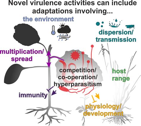 How do pathogens evolve novel virulence activities, and why does it matter?