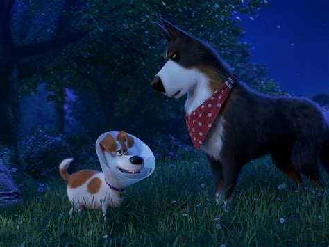 The Secret Life of Pets 2 trips itself up with divided focus - CultureMap Fort Worth