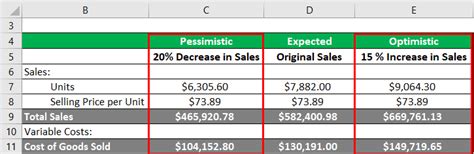 Sensitivity Analysis | Examples of Sensitivity Analysis