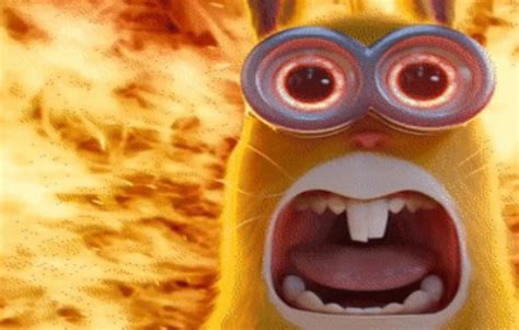 minion rabbit screaming Blank Template - Imgflip