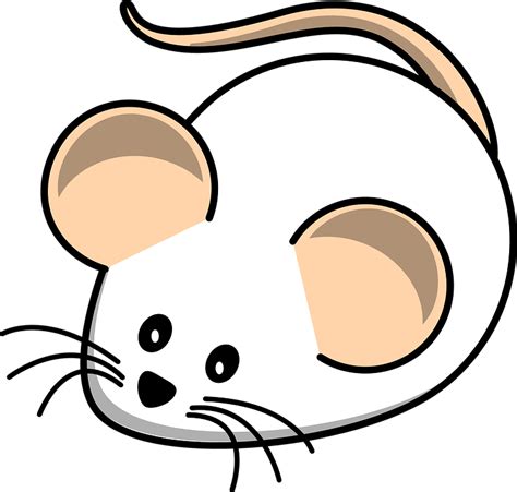 Free vector graphic: Mouse, White Mouse, Field, Animal - Free Image on ...