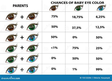 eye color genetics chart eye color chart eye color chart genetics ...