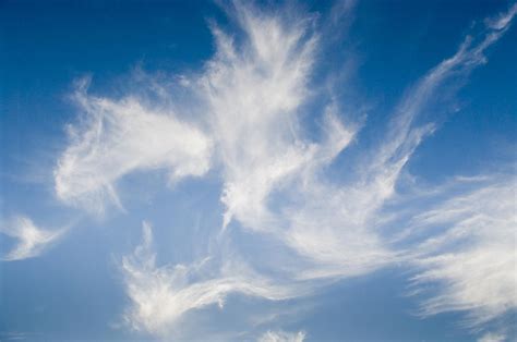 High Altitude Cirrus Intortus Clouds In A Blue Sky Photograph by Laurance B. Aiuppy