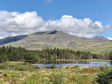 Beddgelert Forest - 2020 All You Need to Know Before You Go (with ...