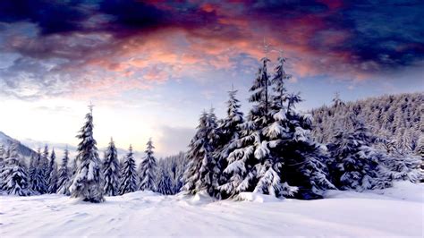 Winter Scenery Wallpapers - Top Free Winter Scenery Backgrounds - WallpaperAccess