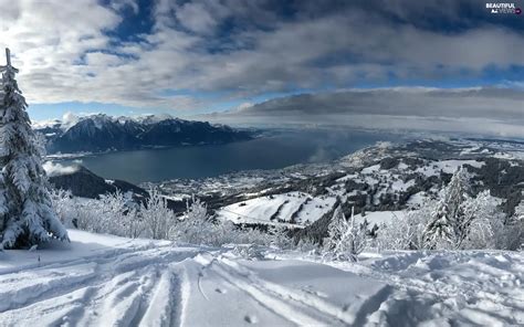 trees, viewes, Switzerland, Alps Mountains, Montreux, snow, winter, Lake Geneva - Beautiful ...