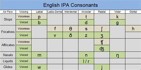 IPA Consonant Chart