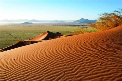 Top 10 Wild African Safaris Destinations in Botswana - Welgrow Travels Blog