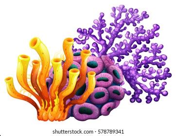 Coral Reef Yellow Purple Color Illustration Stock Vector (Royalty Free) 578789341 | Shutterstock