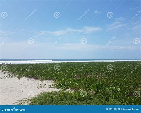 The Beaches in Esmeraldas - Ecuador Stock Photo - Image of beauty, beautiful: 249159590