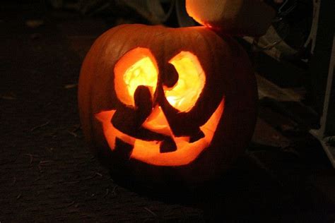 20+ Silly Jack O Lantern