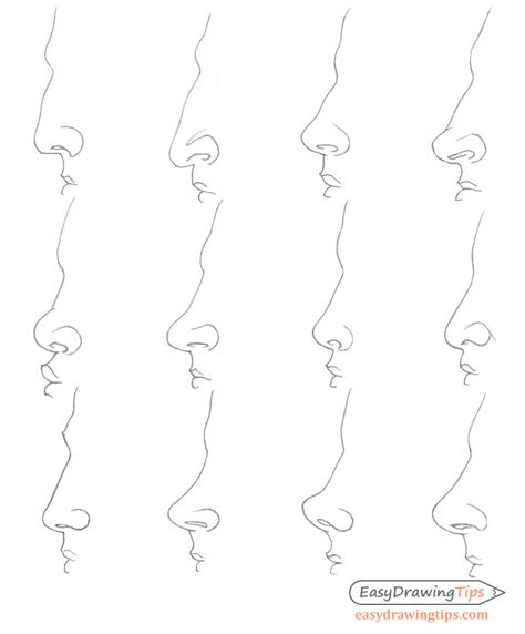 How to Draw Different Nose Types - EasyDrawingTips