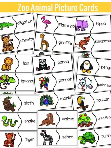 Zoo Animals Videos For Kindergarten