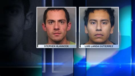 2 charged in connection to Arlington Heights BB gun cases - ABC7 Chicago