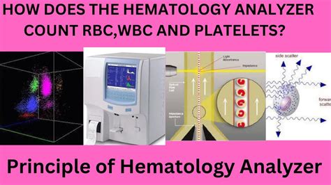 Principle of hematology analyzer, How does the CBC machine count the cells,reticulocytes and ...