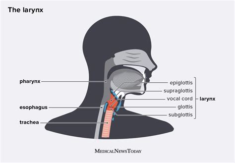 Why does my throat feel tight after drinking? – Fabalabse