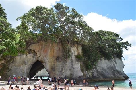 Top 3 Things to Do in Coromandel Town – Paula's Passport