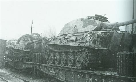Image result for porsche king tiger tank anneliese Tiger Ii, Bengal Tiger, Panther Tank, Tiger ...