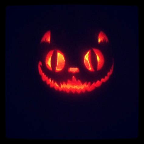 Cheshire Cat pumpkin | Halloween pumpkin carving stencils, Cat pumpkin carving, Pumpkin ...