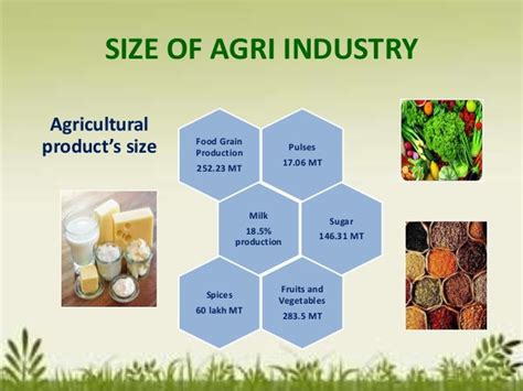 Agro based industries scenario and their future in India