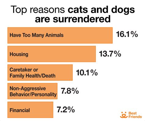 How Many Dogs Get Abandoned Each Year