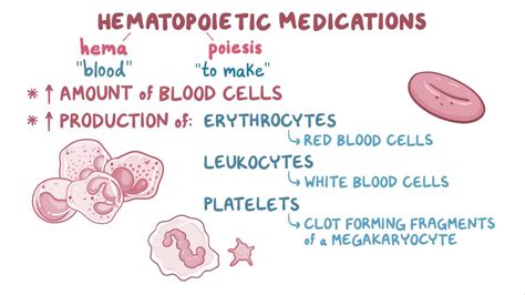 Hematopoietic medications: Video, Anatomy & Definition | Osmosis