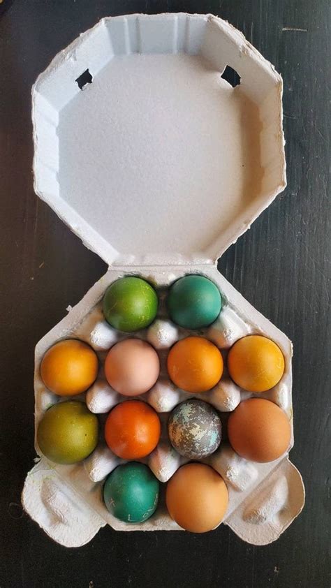 Holds a Full Dozen Eggs Blank Egg Cartons Octagon Carton- 100% ...