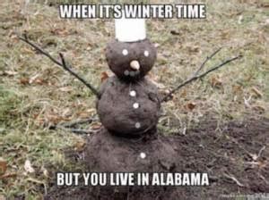 See The Top Ten Memes From The January 29 Alabama Snowless Event - Geek Alabama