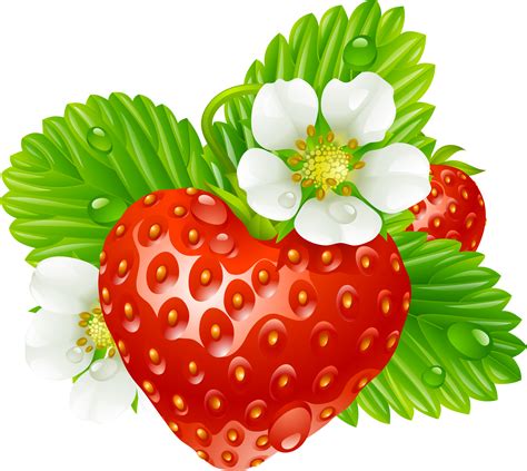 Strawberries clipart watercolor, Strawberries watercolor Transparent FREE for download on ...