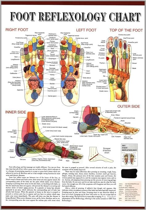 Foot Reflexology Chart (AC-13) | lupon.gov.ph