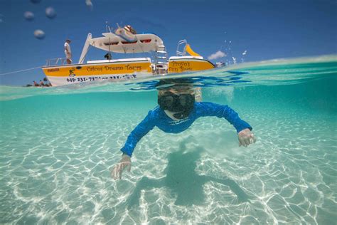 Enjoy a half-day Snorkel & Conch Cruise, ideal for families visiting Providenciales, with Caicos ...