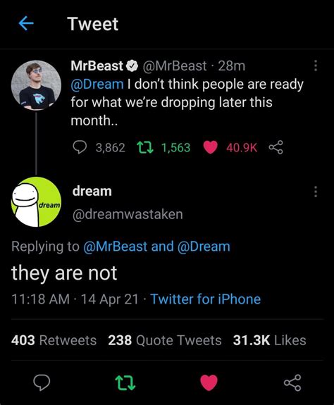 Dream and Mr. Beast is planning something. : DreamWasTaken2