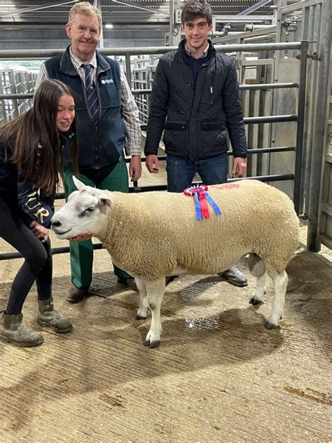 Bakewell Market Ram Fair - Bagshaws