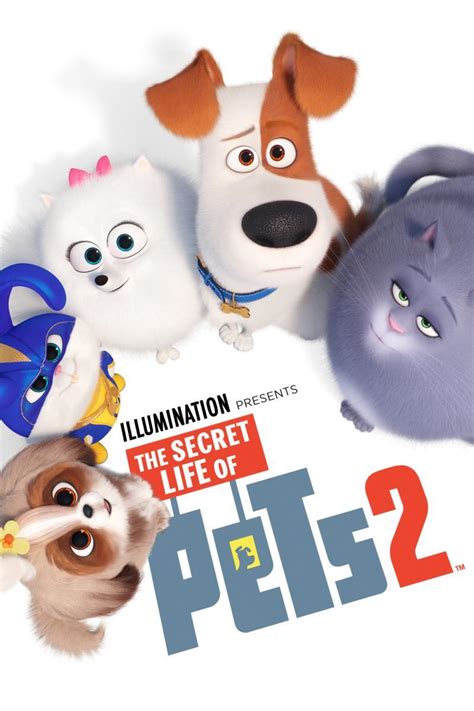 The Secret Life of Pets 2 (2019) - FilmAffinity