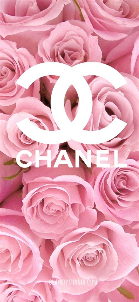 Glamorous and classy Chanel background pink Available for free download