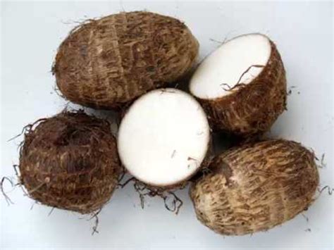 Taro Vegetable & its health Benefits - YouTube