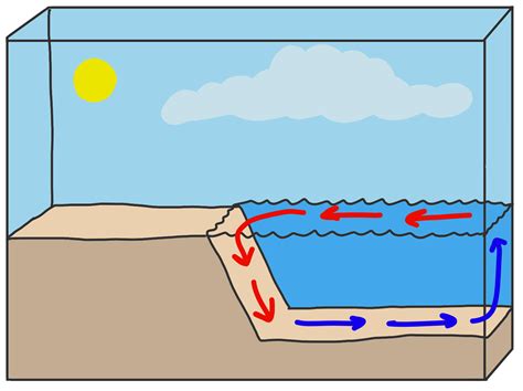 Surface & Density Ocean Currents - Laney Lee