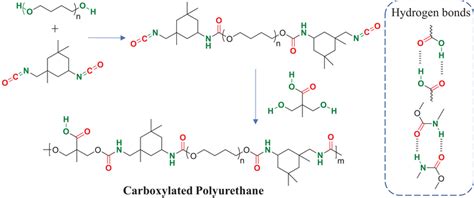 Synthesis pathway of self‐healing CPU. The isophorone diisocyanate is ...