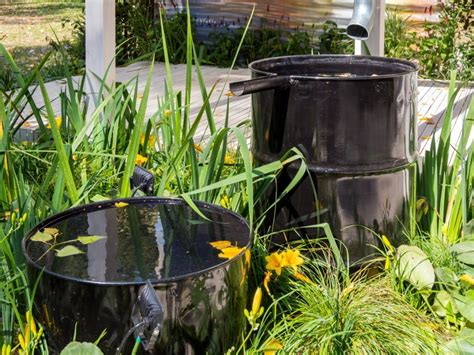 Rainwater Collection - Harvesting Rainwater With Rain Barrels