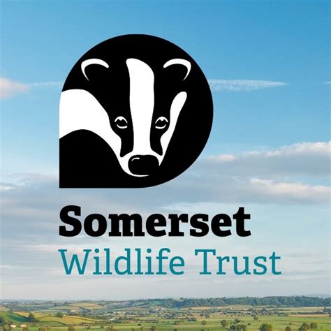 Somerset Wildlife Trust - YouTube