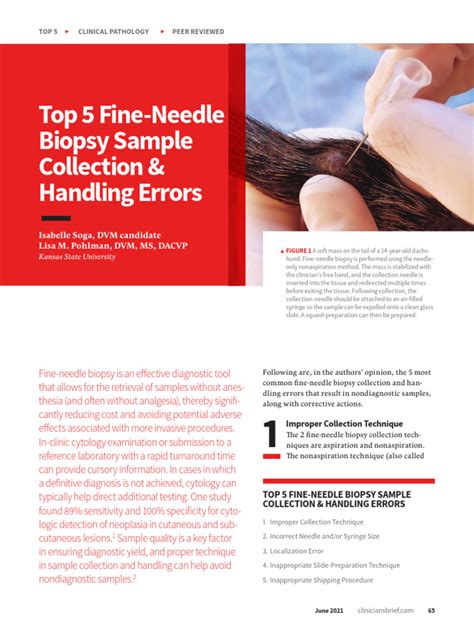 Top 5 Fine-Needle Biopsy Sample Collection & Handling Errors | PDF | Cytopathology | Biopsy