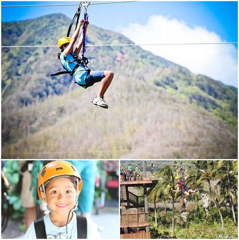 maui zipline tour | Zipline tours, Ziplining, Tours