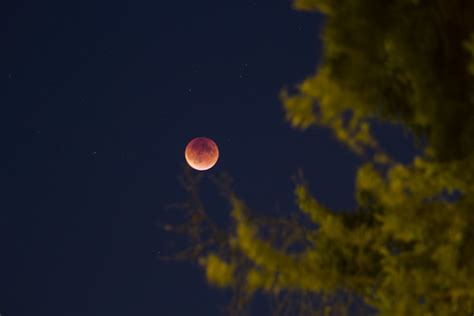 Super blood moon eclipse | Taken in Shoreline, WA | Flickr