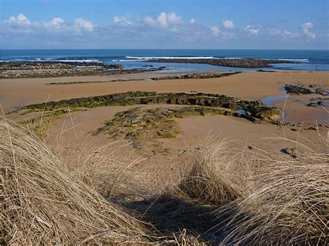 Kingsbarns Beach | Fife | UK Beach Guide