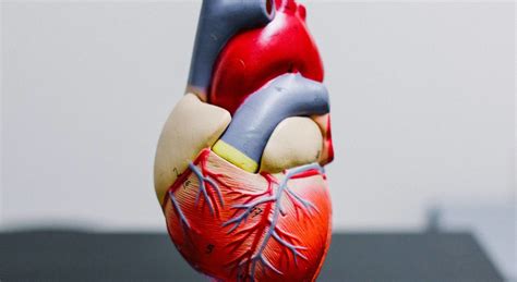 Myocarditis in children and young adults – HART