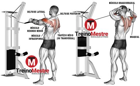 Treino de Trapézio Completo para Hipertrofia - Treino Mestre