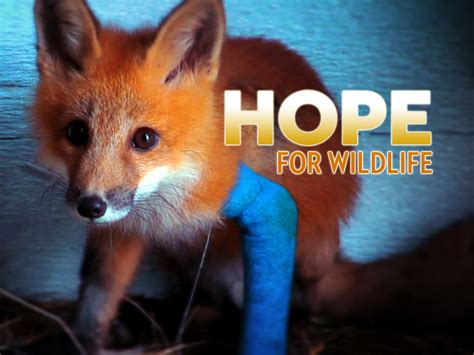 Prime Video: Hope for Wildlife