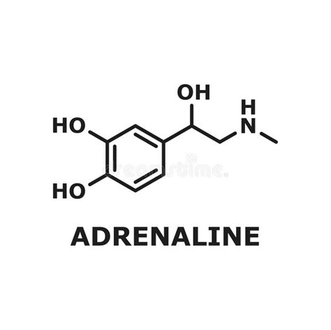 Adrenaline or Adrenalin, Epinephrine Structure Stock Vector - Illustration of medical, drawing ...